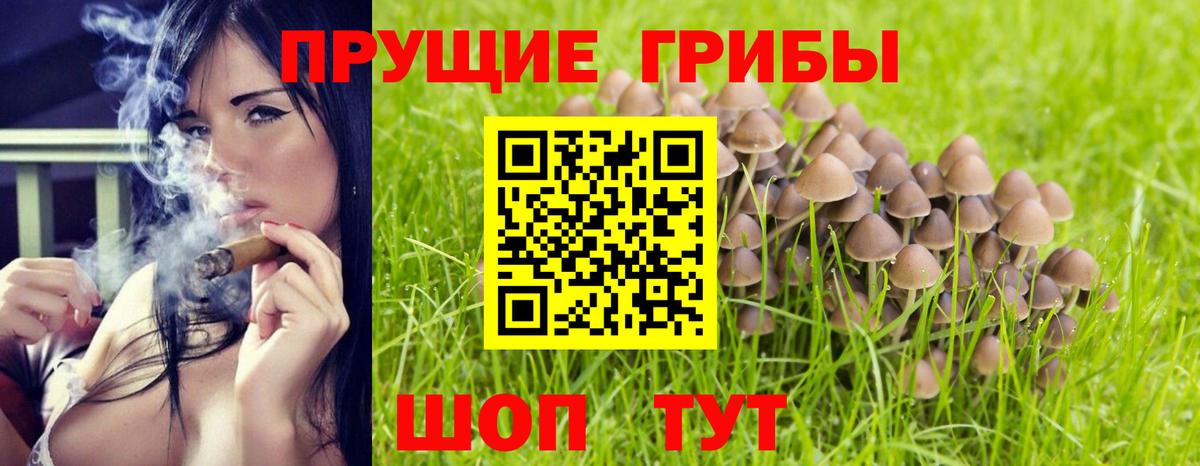 Псилоцибиновые грибы Cubensis  Псилоцибиновые грибы Psilocybine cubensis  Мирный  Вход с VPN 